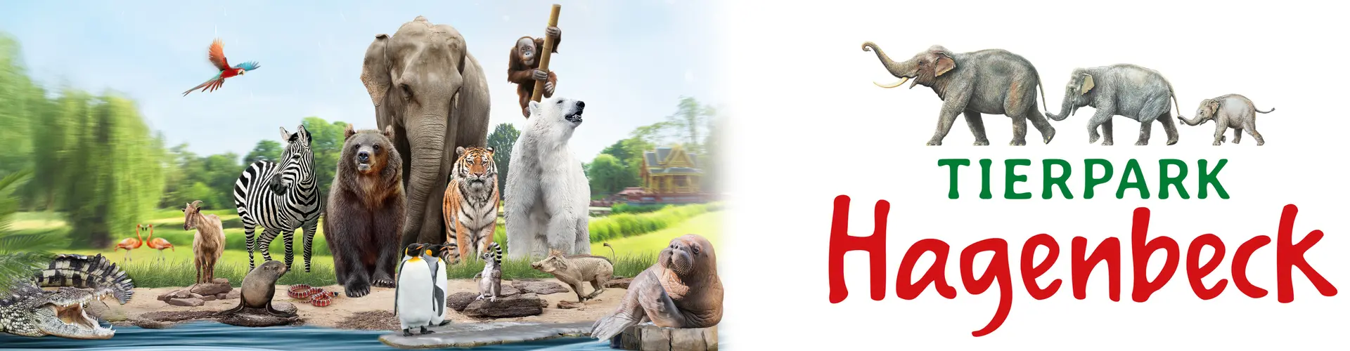 Tierpark Hagenbeck gemeinnützige Gesellschaft mbH cover